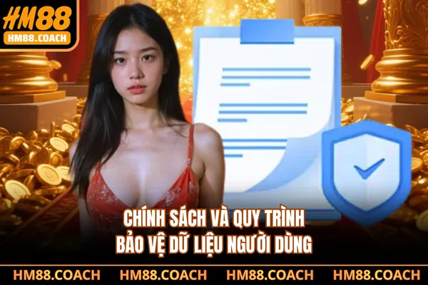 Chính sách và quy trình bảo vệ dữ liệu người dùng